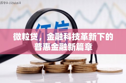 亭湖微粒贷，金融科技革新下的普惠金融新篇章