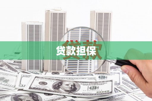 亭湖贷款担保