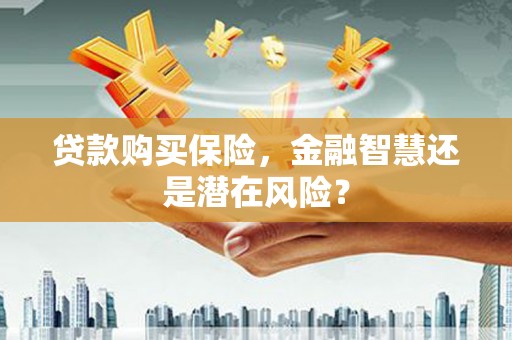 亭湖贷款购买保险，金融智慧还是潜在风险？