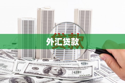 亭湖外汇贷款