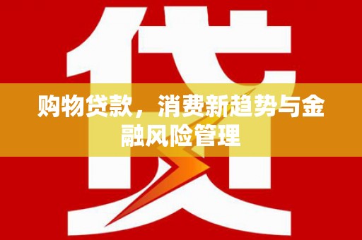 亭湖购物贷款，消费新趋势与金融风险管理