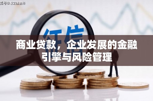 亭湖商业贷款，企业发展的金融引擎与风险管理