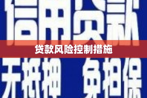 亭湖贷款风险控制措施