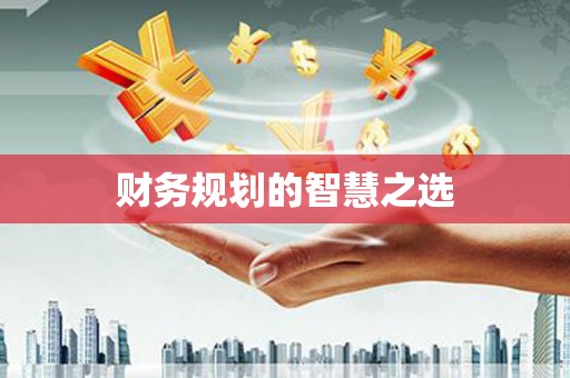亭湖财务规划的智慧之选