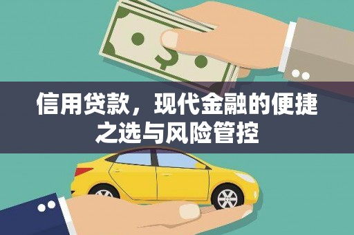 亭湖信用贷款，现代金融的便捷之选与风险管控