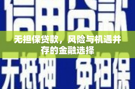 亭湖无担保贷款，风险与机遇并存的金融选择