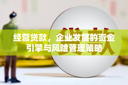 亭湖经营贷款，企业发展的资金引擎与风险管理策略