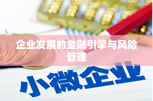 亭湖企业发展的金融引擎与风险管理