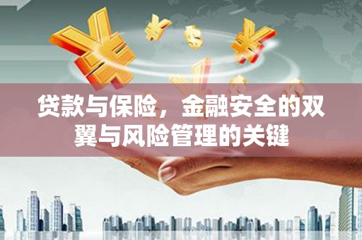 亭湖贷款与保险，金融安全的双翼与风险管理的关键