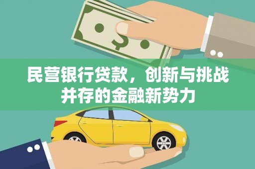 亭湖民营银行贷款，创新与挑战并存的金融新势力