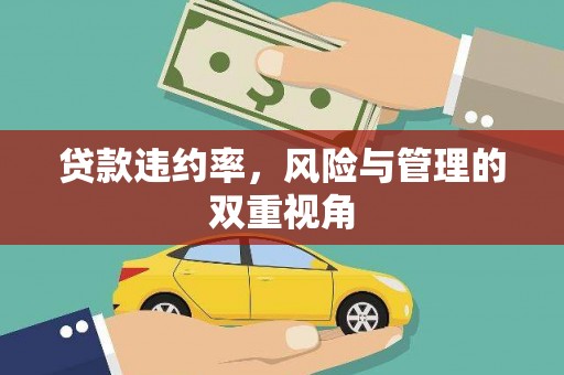 亭湖贷款违约率，风险与管理的双重视角