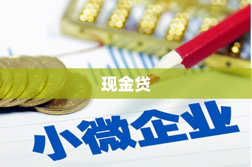 亭湖现金贷