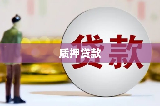 亭湖质押贷款