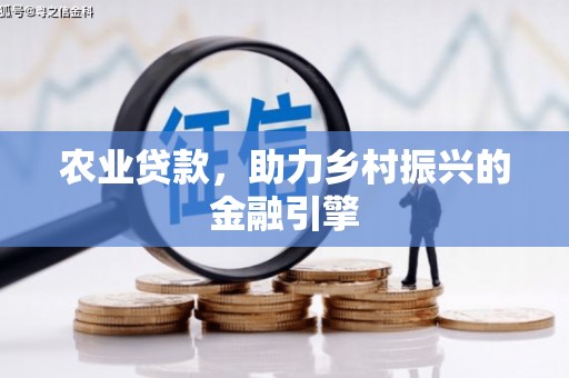 亭湖农业贷款，助力乡村振兴的金融引擎