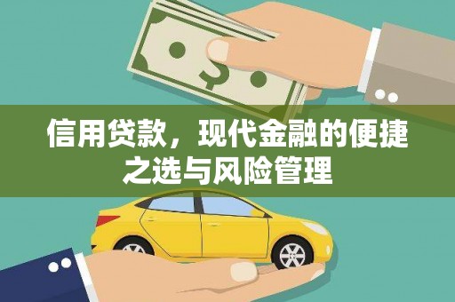 亭湖信用贷款，现代金融的便捷之选与风险管理