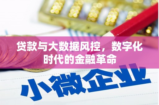 亭湖贷款与大数据风控，数字化时代的金融革命