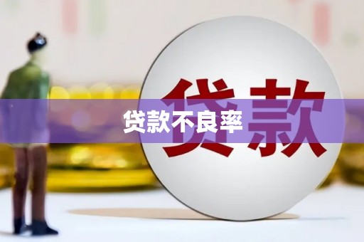 亭湖贷款不良率