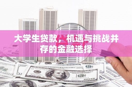 亭湖大学生贷款，机遇与挑战并存的金融选择