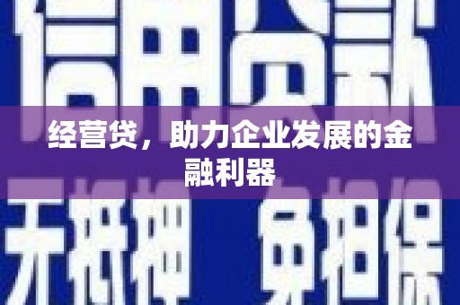 亭湖经营贷，助力企业发展的金融利器