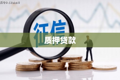 亭湖质押贷款
