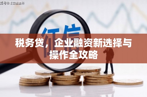 亭湖税务贷，企业融资新选择与操作全攻略