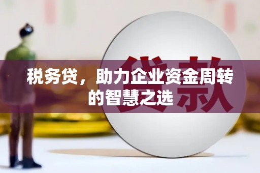亭湖税务贷，助力企业资金周转的智慧之选