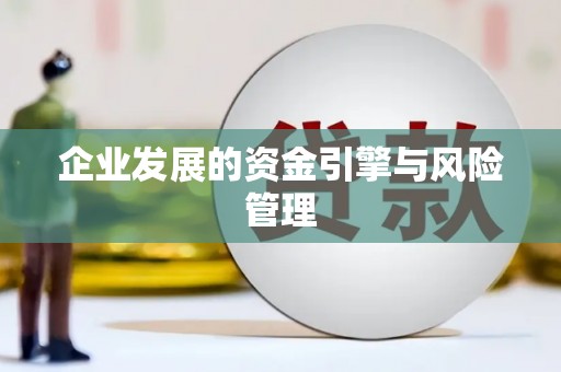 亭湖企业发展的资金引擎与风险管理