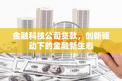 亭湖金融科技公司贷款，创新驱动下的金融新生态