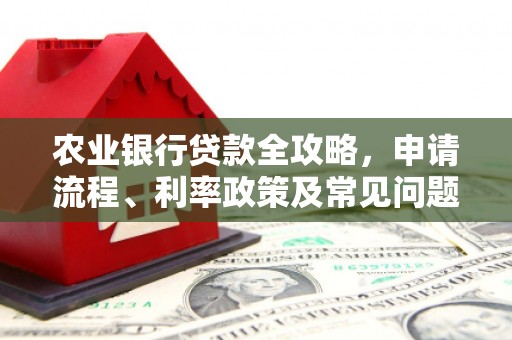 亭湖农业银行贷款全攻略，申请流程、利率政策及常见问题解析