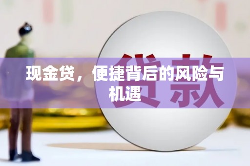 亭湖现金贷，便捷背后的风险与机遇