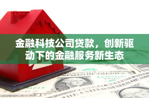 亭湖金融科技公司贷款，创新驱动下的金融服务新生态