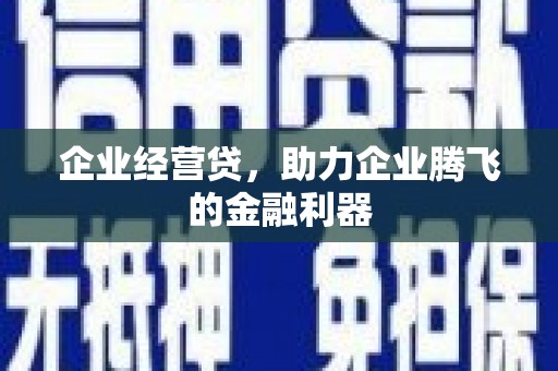 亭湖企业经营贷，助力企业腾飞的金融利器