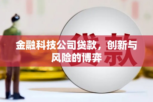 亭湖金融科技公司贷款，创新与风险的博弈