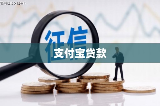 亭湖支付宝贷款