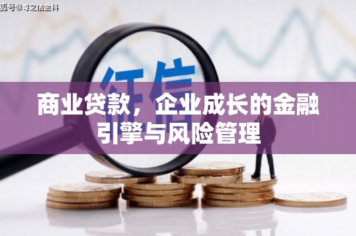 亭湖商业贷款，企业成长的金融引擎与风险管理