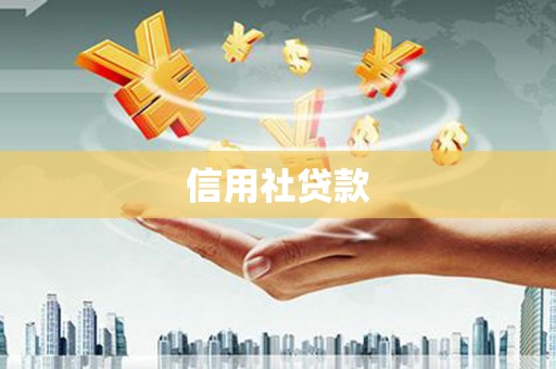 亭湖信用社贷款