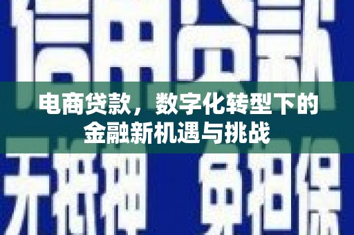 亭湖电商贷款，数字化转型下的金融新机遇与挑战