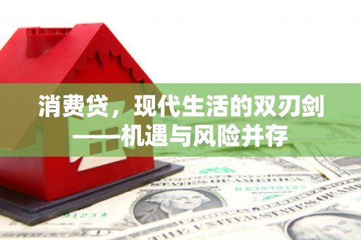 亭湖消费贷，现代生活的双刃剑——机遇与风险并存