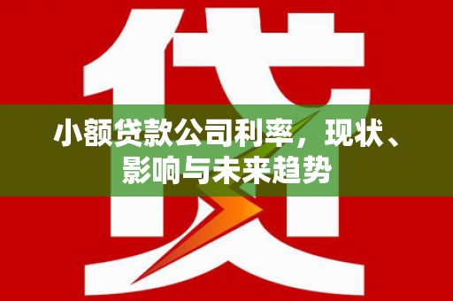 亭湖小额贷款公司利率，现状、影响与未来趋势