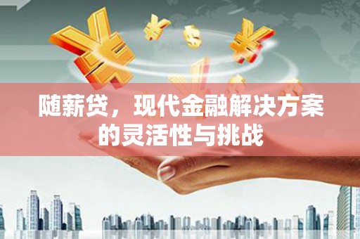 亭湖随薪贷，现代金融解决方案的灵活性与挑战