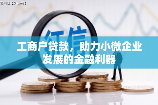 亭湖工商户贷款，助力小微企业发展的金融利器