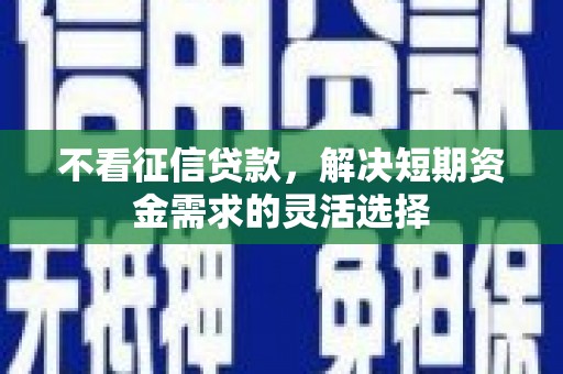 亭湖不看征信贷款，解决短期资金需求的灵活选择