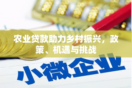 亭湖农业贷款助力乡村振兴，政策、机遇与挑战
