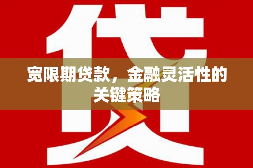 亭湖宽限期贷款，金融灵活性的关键策略