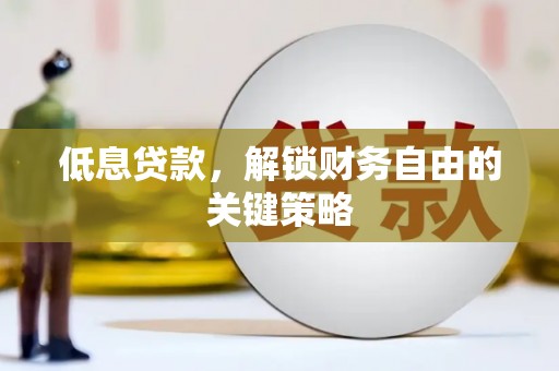 亭湖低息贷款，解锁财务自由的关键策略