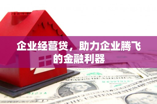 亭湖企业经营贷，助力企业腾飞的金融利器