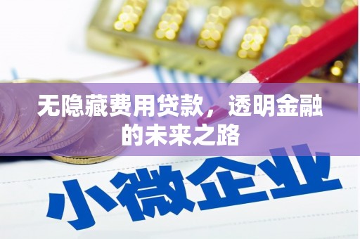 亭湖无隐藏费用贷款，透明金融的未来之路