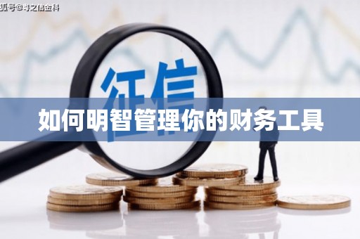 亭湖如何明智管理你的财务工具