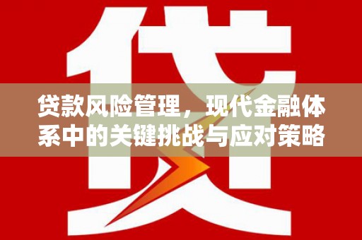 亭湖贷款风险管理，现代金融体系中的关键挑战与应对策略