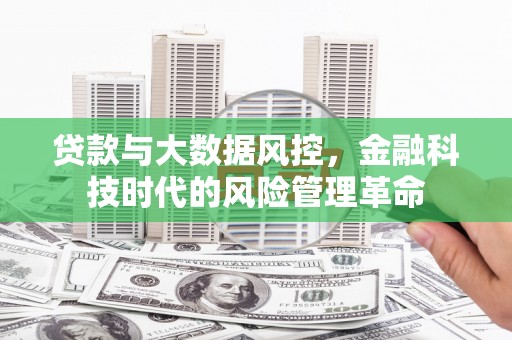亭湖贷款与大数据风控，金融科技时代的风险管理革命
